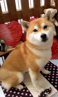 12���̓g���~���Oday