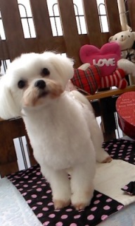 12���̓g���~���Oday