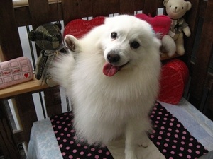 12���̓g���~���Oday