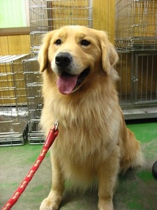 12���̓g���~���Oday