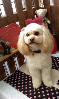 13���̓g���~���Oday