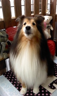 13���̓g���~���Oday