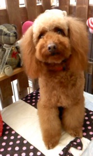 13���̓g���~���Oday