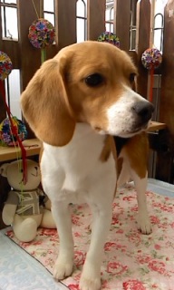 17���̓g���~���Oday