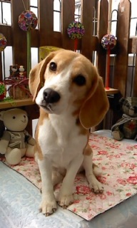 17���̓g���~���Oday