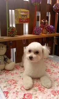 18���̓g���~���Oday