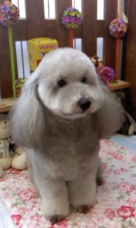 18���̓g���~���Oday