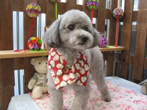 16���̓g���~���Oday