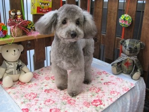 16���̓g���~���Oday