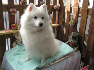 16���̓g���~���Oday