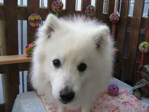 16���̓g���~���Oday