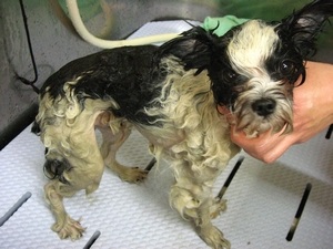 18���̓g���~���Oday