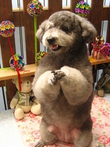 18���̓g���~���Oday