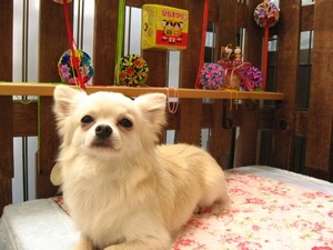 18���̓g���~���Oday