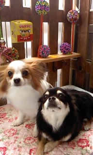 19���̓g���~���Oday