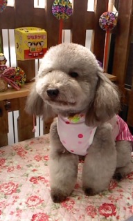 19���̓g���~���Oday