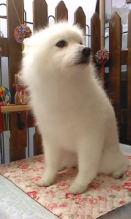 19���̓g���~���Oday