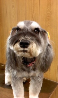 19���̓g���~���Oday