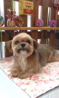 19���̓g���~���Oday