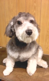 19���̓g���~���Oday