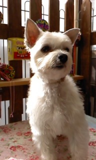 20�̓g���~���Oday