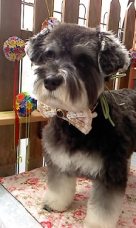 20���̓g���~���Oday