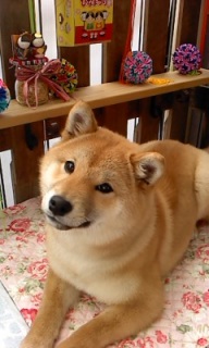 20���̓g���~���Oday