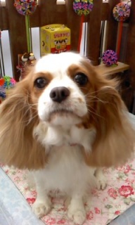 20���̓g���~���Oday