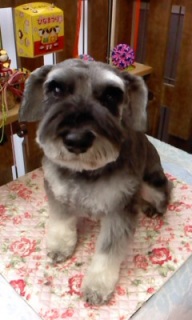 20���̓g���~���Oday