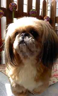 22���̓g���~���Oday��