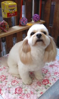 22���̓g���~���Oday��