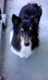 22���̓g���~���Oday��