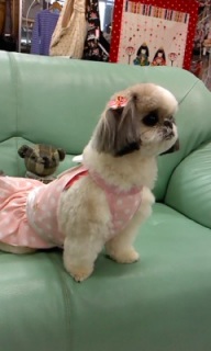 22���̓g���~���Oday��