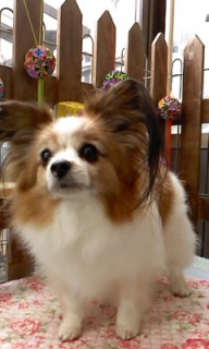 24���̓g���~���Oday��