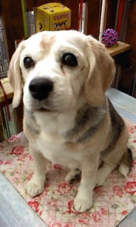 24���̓g���~���Oday��