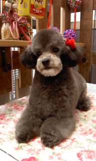 24���̓g���~���Oday��