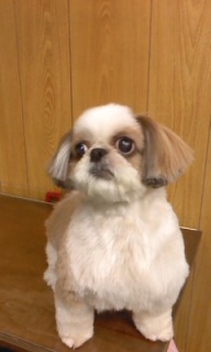 24���̓g���~���Oday��