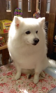 25���̓g���~���Oday��