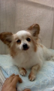 25���̓g���~���Oday��