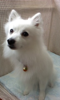 25���̓g���~���Oday��