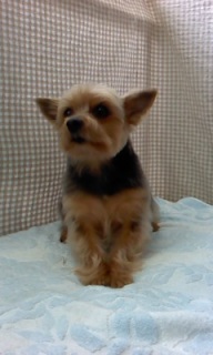 25���̓g���~���Oday��