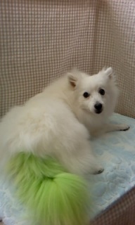 25���̓g���~���Oday��