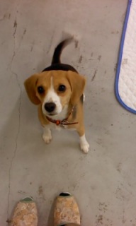 ���Ƃł����܂蒆��