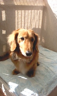 ��イ�����