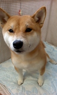 ���݂����