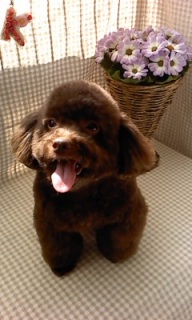 ���R�����