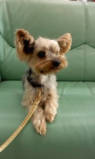 �����N����