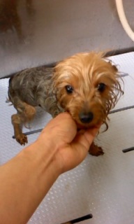 �`���R�����