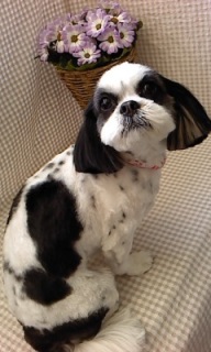 ���������