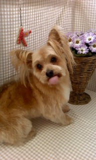 ���L����